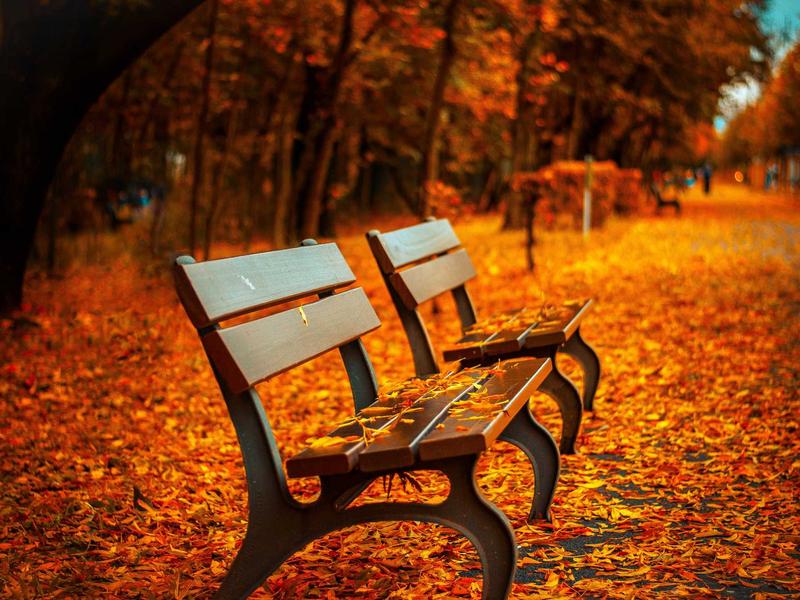 联盟猎手<br>CPA/CPS 流量套利与导量号